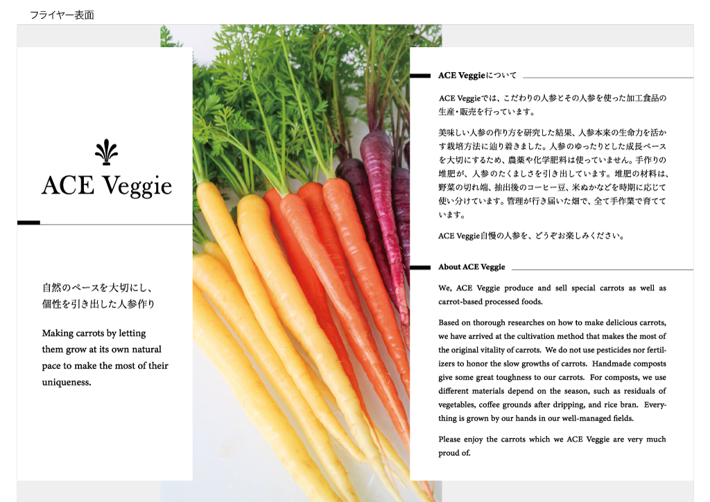 ACE-Veggie_giftsets_B-4_flyer