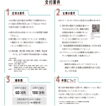 Ijuteiju-sokushin_pamphlet_idea