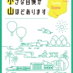 Ijuteiju-sokushin_pamphlet_A-1_3